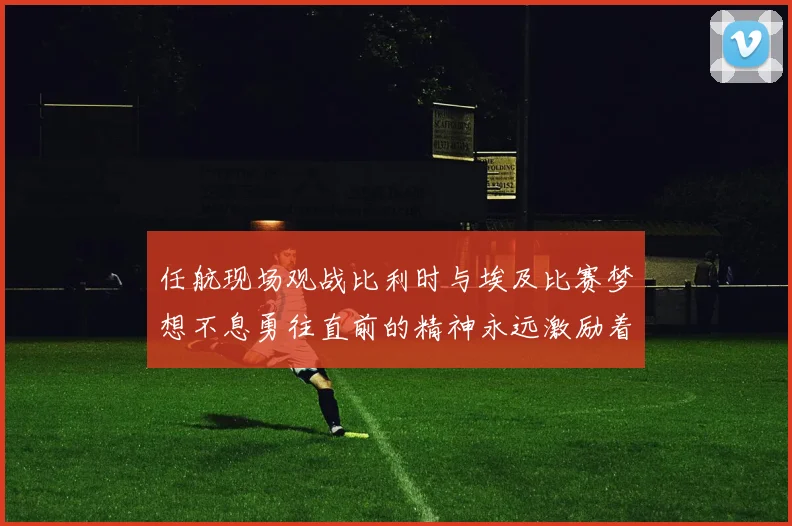 任航现场观战比利时与埃及比赛梦想不息勇往直前的精神永远激励着我们